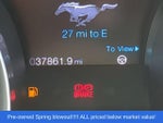 2013 Shelby GT500 Thumbnail 28