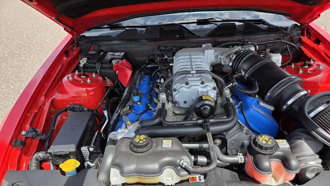 2011 Ford Shelby GT500 Base