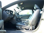 2005 Mustang Thumbnail 3