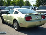 2005 Mustang Thumbnail 13