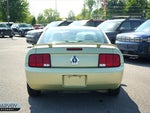 2005 Mustang Thumbnail 14