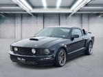 2007 Mustang Thumbnail 1