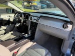 2007 Mustang Thumbnail 20