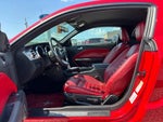 2005 Mustang Thumbnail 14