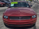 2007 Mustang Thumbnail 6
