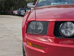 2006 Mustang Thumbnail 9