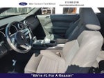 2006 Mustang Thumbnail 7