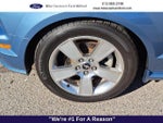 2006 Mustang Thumbnail 9