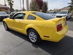 2006 Mustang Thumbnail 6