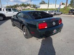 2008 Mustang Thumbnail 6