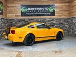 2008 Mustang Thumbnail 13