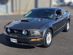 2007 Mustang Thumbnail 4
