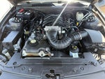2007 Mustang Thumbnail 21