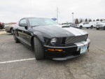 2007 Mustang Thumbnail 6