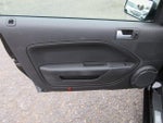 2007 Mustang Thumbnail 9