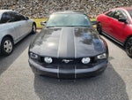 2008 Mustang Thumbnail 2