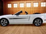 2007 Mustang Thumbnail 17