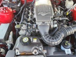 2008 Mustang Thumbnail 14