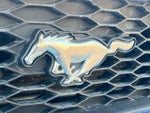 2007 Mustang Thumbnail 13