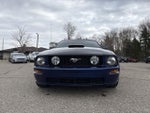 2008 Mustang Thumbnail 2