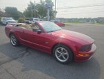 2005 Mustang Thumbnail 4