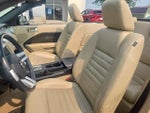 2005 Mustang Thumbnail 11