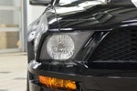 2007 Shelby GT500 Thumbnail 10