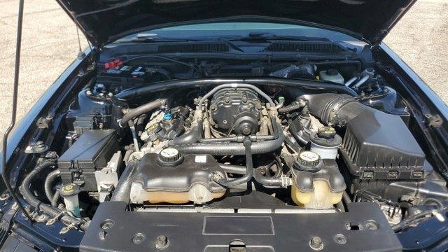 2008 Ford Shelby GT500 Base