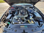 2009 Shelby GT500 Thumbnail 10