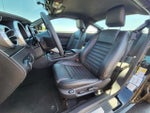 2009 Shelby GT500 Thumbnail 12
