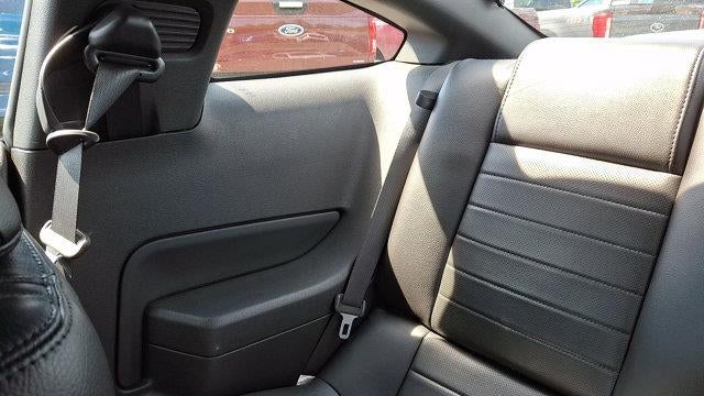 2008 Ford Shelby GT500 Base
