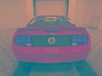 2007 Shelby GT500 Thumbnail 14