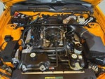 2007 Shelby GT500 Thumbnail 25