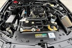 2008 Shelby GT500 Thumbnail 9