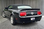 2008 Shelby GT500 Thumbnail 12