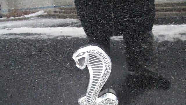 2008 Ford Shelby GT500 Base