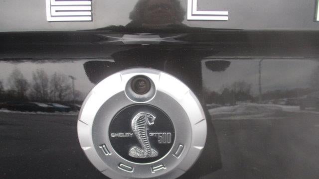 2008 Ford Shelby GT500 Base