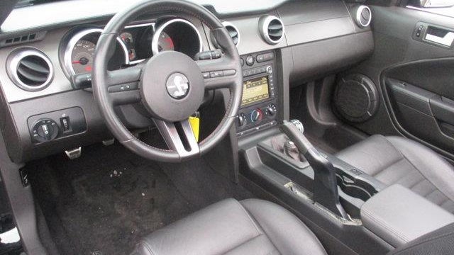 2008 Ford Shelby GT500 Base