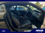 2008 Shelby GT500 Thumbnail 19