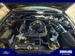 2008 Shelby GT500 Thumbnail 21