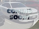 2019 Charger Thumbnail 1