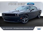 2020 Challenger Thumbnail 10