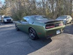 2019 Challenger Thumbnail 13