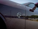 2020 Challenger Thumbnail 12
