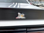2017 Challenger Thumbnail 23