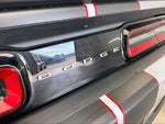 2021 Challenger Thumbnail 30