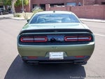 2021 Challenger Thumbnail 5