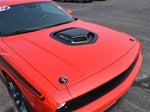 2022 Challenger Thumbnail 29