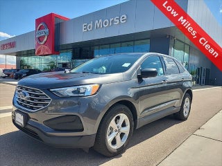 2020 Ford Edge with Magnetic Metallic Exterior