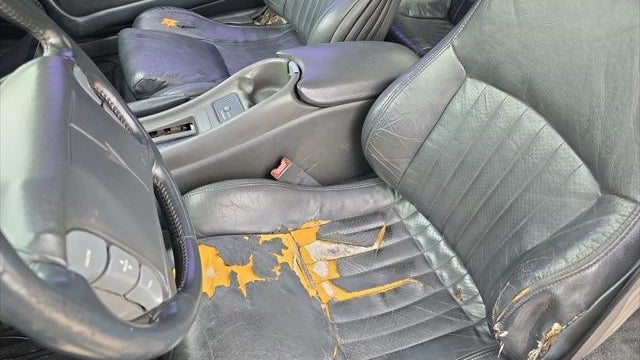 1994 Pontiac Firebird Trans Am